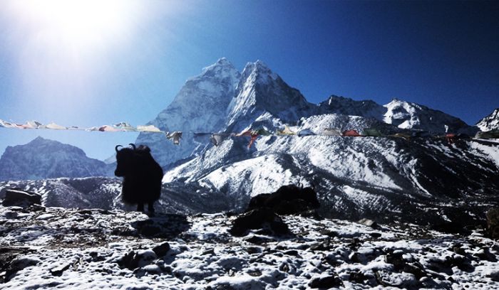 Classic Everest base camp Trek