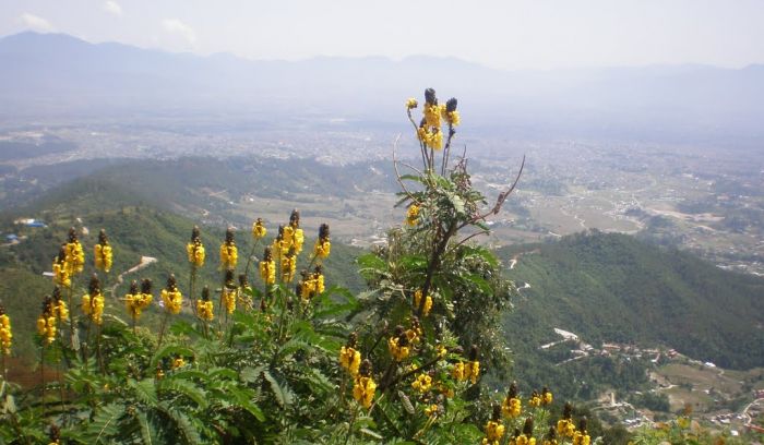 Nagarjun Hill Day tour