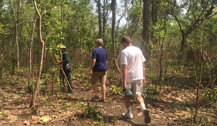 Jungle safari- Jungle walking tour