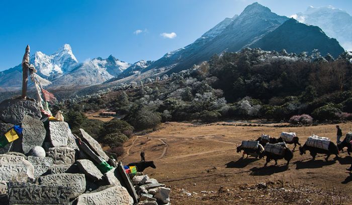 View from tengboche( 3860m),walking a head to Everest base camp