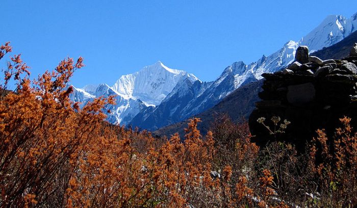 langtang valley trek