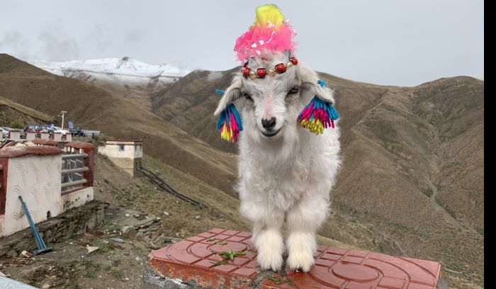 View during high pass of Tibet