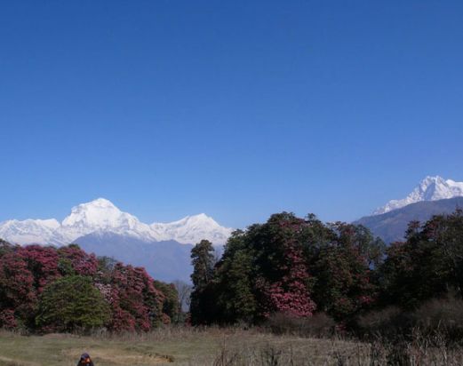 family trekking hiking in nepal