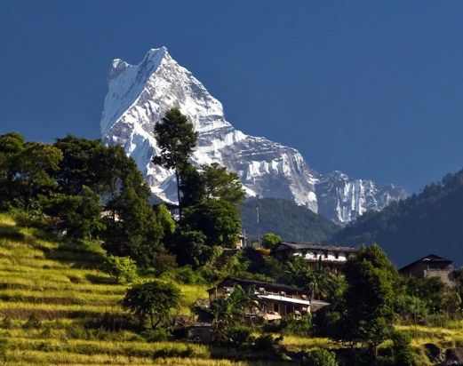 Ghorepani Poonhill Trek, Poonhill trekking, Annapurna Ghorepani Poonhill Trekking, Poon Hill Trek Route, Ghorepani Trek, Annpurna region trekking