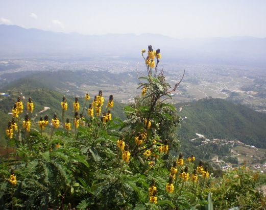 Nagarjun Hill Day tour